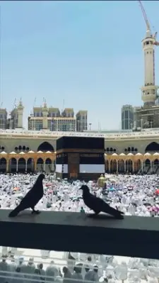 Biaya Umroh Plus Aqso Resmi Kemenag Terakriditasi A Pebruari 2026 KAB KEP SERIBU DKI JAKARTA