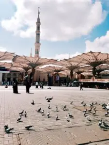 Promo Umroh Reguler Resmi Kemenag Terakriditasi A Pebruari 2026 KAB KEP SERIBU DKI JAKARTA